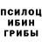 Галлюциногенные грибы Magic Shrooms SembA_96,Bullshit car