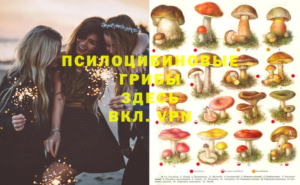 прущая мука Абдулино