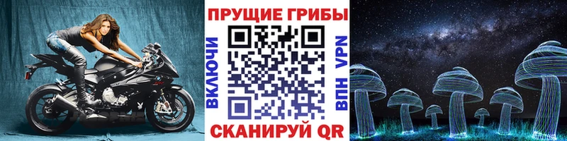 MEGA вход  Углегорск  Галлюциногенные грибы мицелий 
